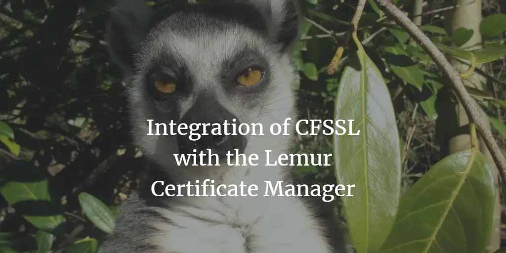 Integration of CFSSL with the Lemur Certificate Manager