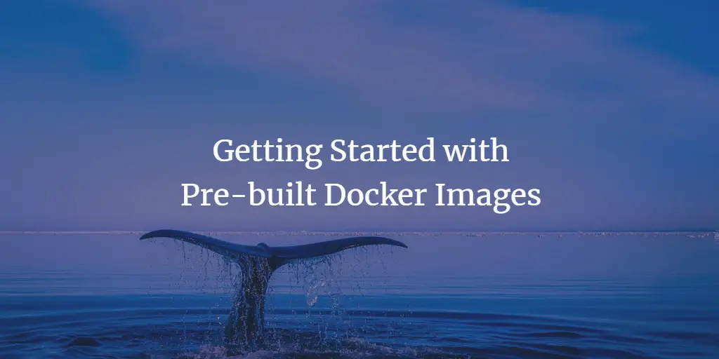 Getting Started with Pre-built Docker Images