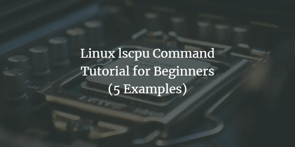 Linux lscpu Command Tutorial for Beginners (5 Examples)